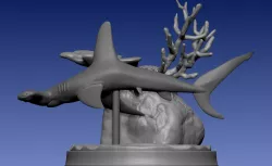 hammerhead shark