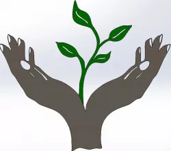 Hand Holding Plant