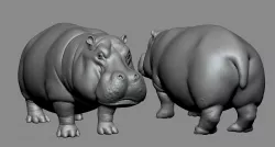 Hippo