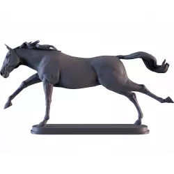 Horse Running