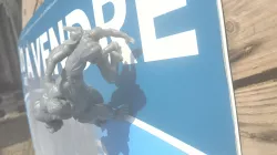 Hulk vs Cell