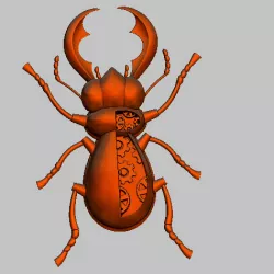 insect