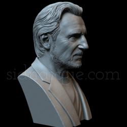 liam neeson action figure 3D Models | Page 1 | STLFinder