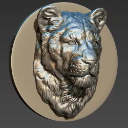 Lioness head
