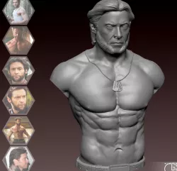 Logan - Wolverine (hugh jackman)