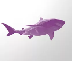 LOW POLY - SHARK