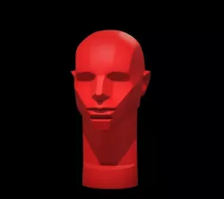 Memorized Head - John Asaro