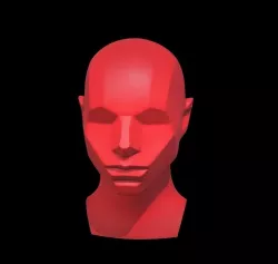 Memorized Head - John Asaro