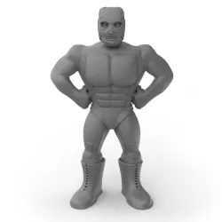 Mexican Wrestler Hurricane Ramirez