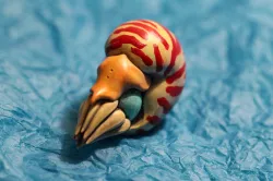 Nautilus