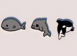 pin crocs whale dolphin orca