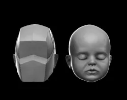 Planes of the baby head