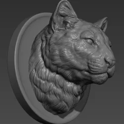 Puma cougar head