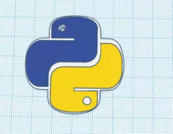 Python Programming Keychain
