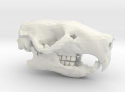 mini rat skull 3d models 【 STLFinder
