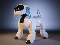 Robot Dog