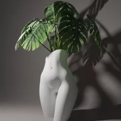 Sensual Pelvis Flower Pot