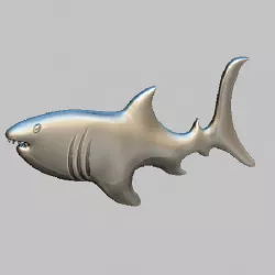 Shark, shark
