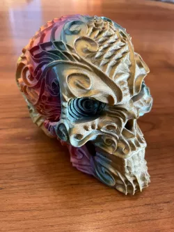 SHUGAR SHKULL