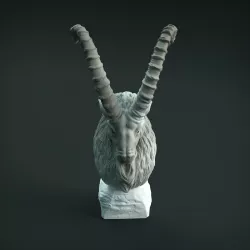 Siberian Ibex Bust