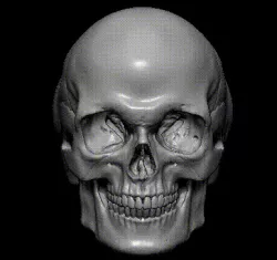 Skull Ring accurate