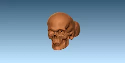 Skull Ring