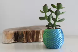 Small pot