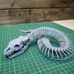 Snake skeleton