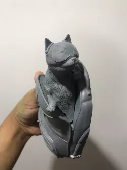 Spiderman Cat