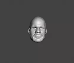 stone cold steve austin head wwe retro series moc wwf pressing catch mattel .obj .stl