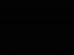 Text Flip - Tiger