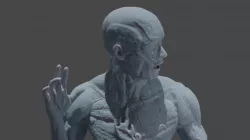 Tool Band Art: Lateralus: Alex Grey