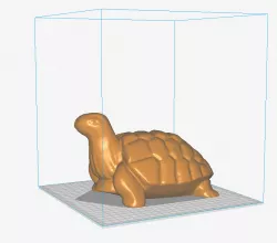 Turtle