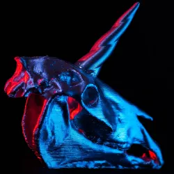 Unicorn Skull