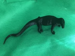 vampire Komodo
