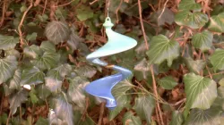Wind spinner fungus