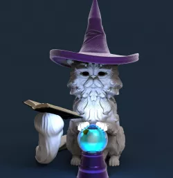 Wizard Cat