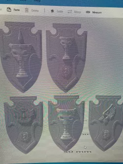 Bangel shields