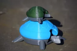 Bobblehead Turtle