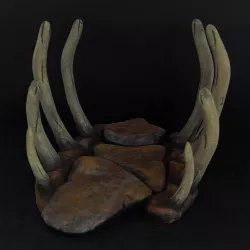 Bone ribs