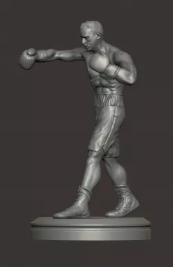 Boxer