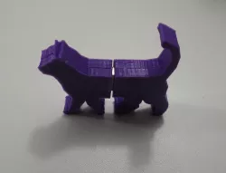 Cat USB key