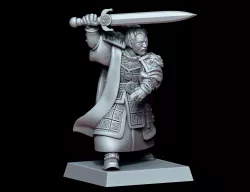 Chinese Hero of the Celestial Empire