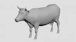 cow