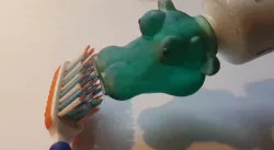 Crazy Cow