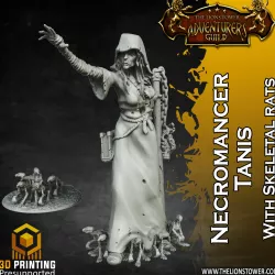Cultist of Morkul - Necromancer Tanis with Skeletal Rats (32mm scale, Pre-Supported Miniature)