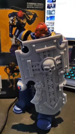 Custom Shield and Sword Bladeguard