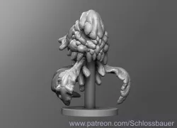 Death head Jellyfish