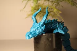 DRAGON articulé