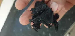 dragon born demon on wolf